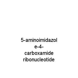 5-aminoimidazole-4- carboxamide ribonucleotide